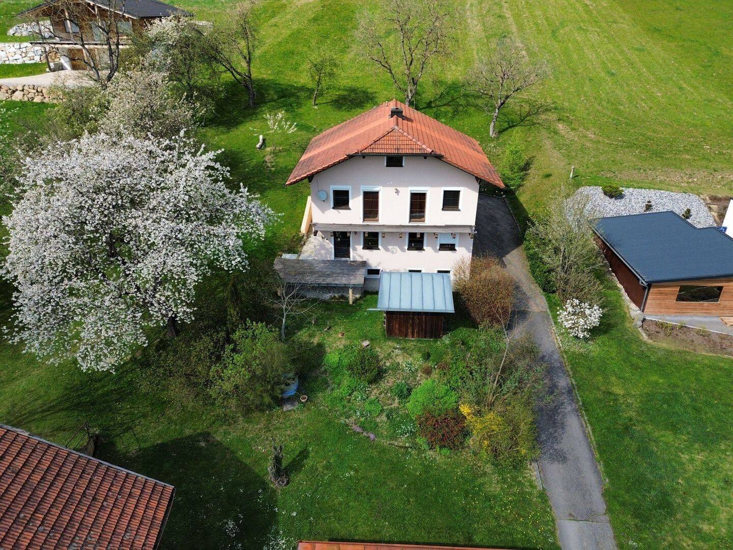 Bild 11