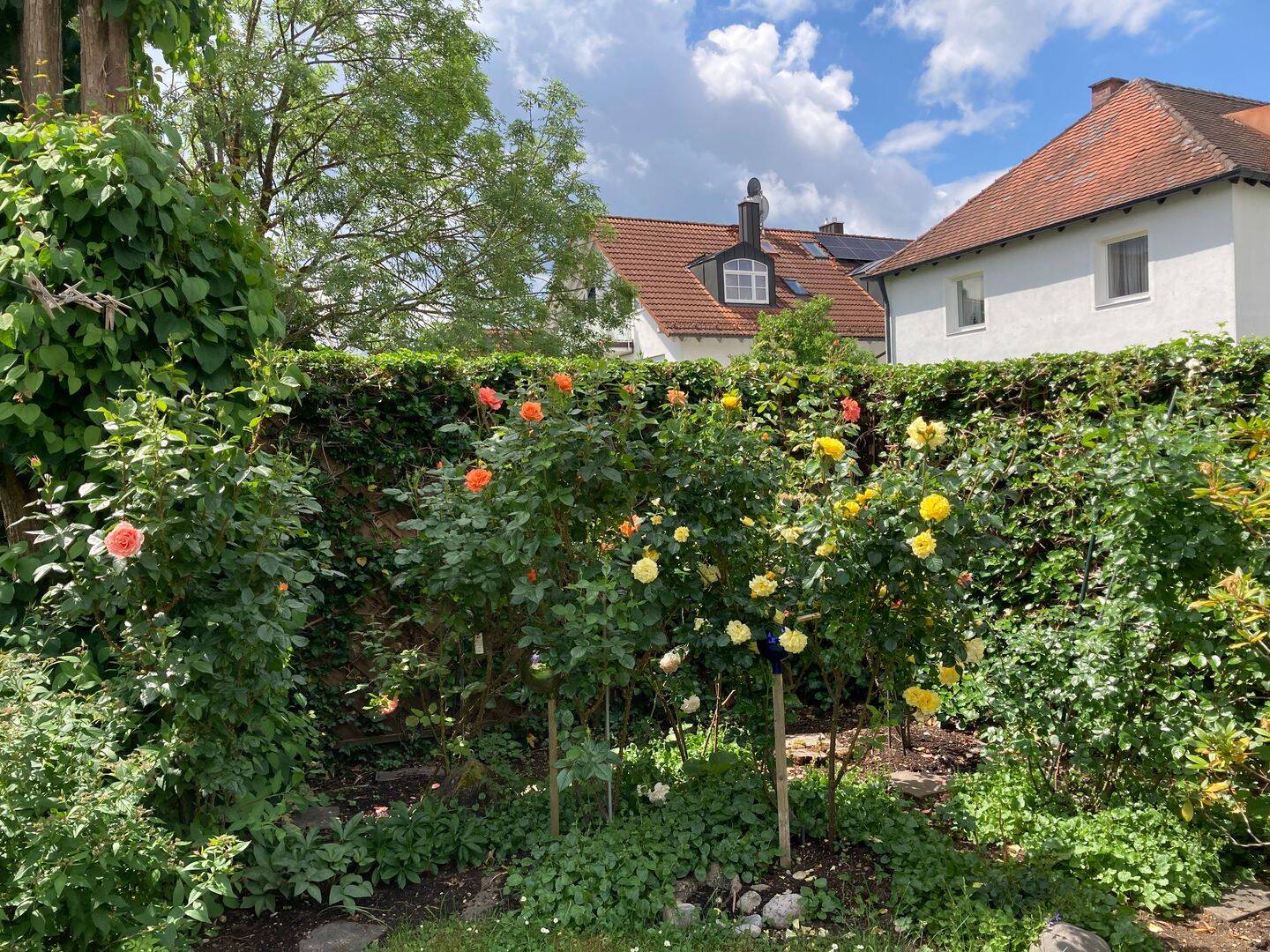 Attraktive 2-Zimmer -EG Wohnung mit Einbauküche und Terrasse, 81735 München (Berg am Laim Ramersdorf-Perlach Trudering-Riem)