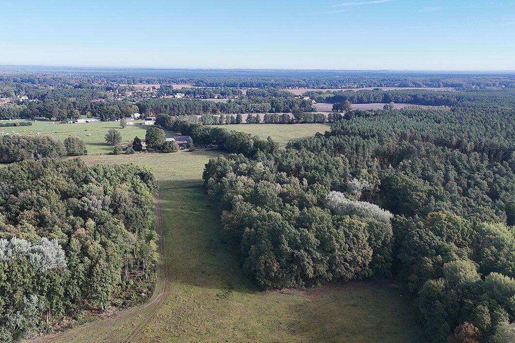 0,5 ha Waldfläche, 3149 Forst (Lausitz)