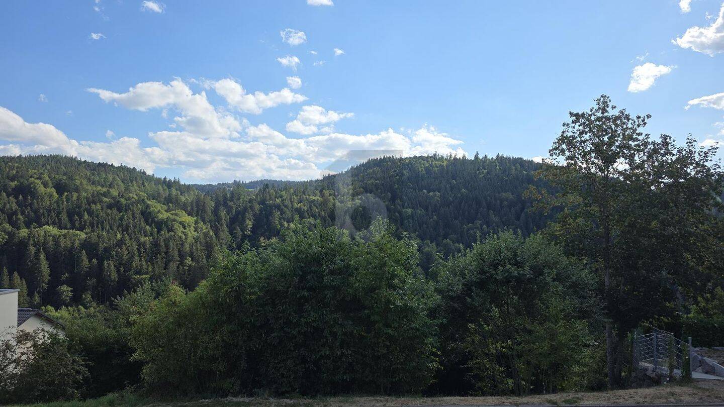 MEHRPARTEIEN MÖGLICH – IM LUFTKURORT, 78098 Triberg im Schwarzwald