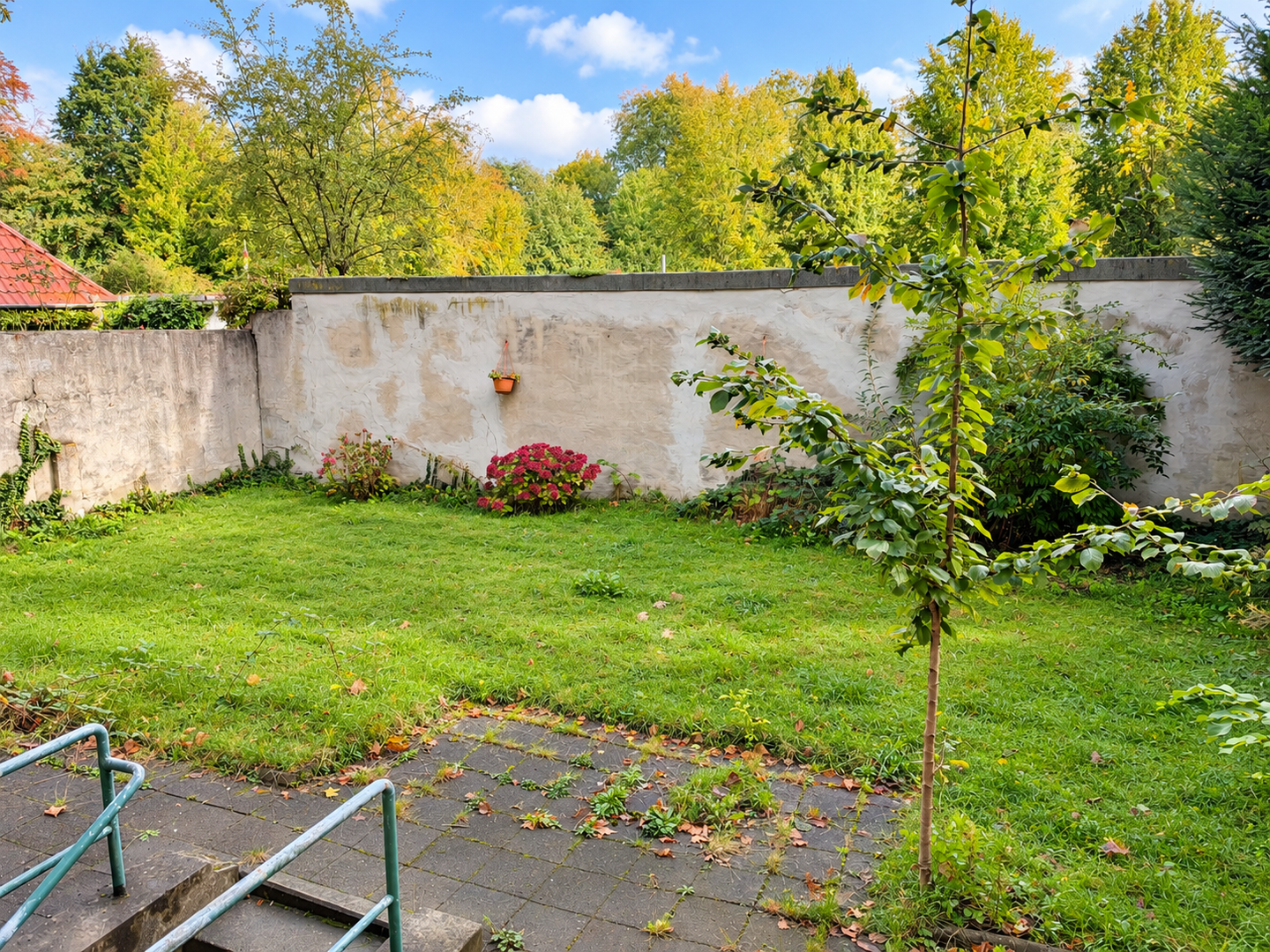 Bild 6
