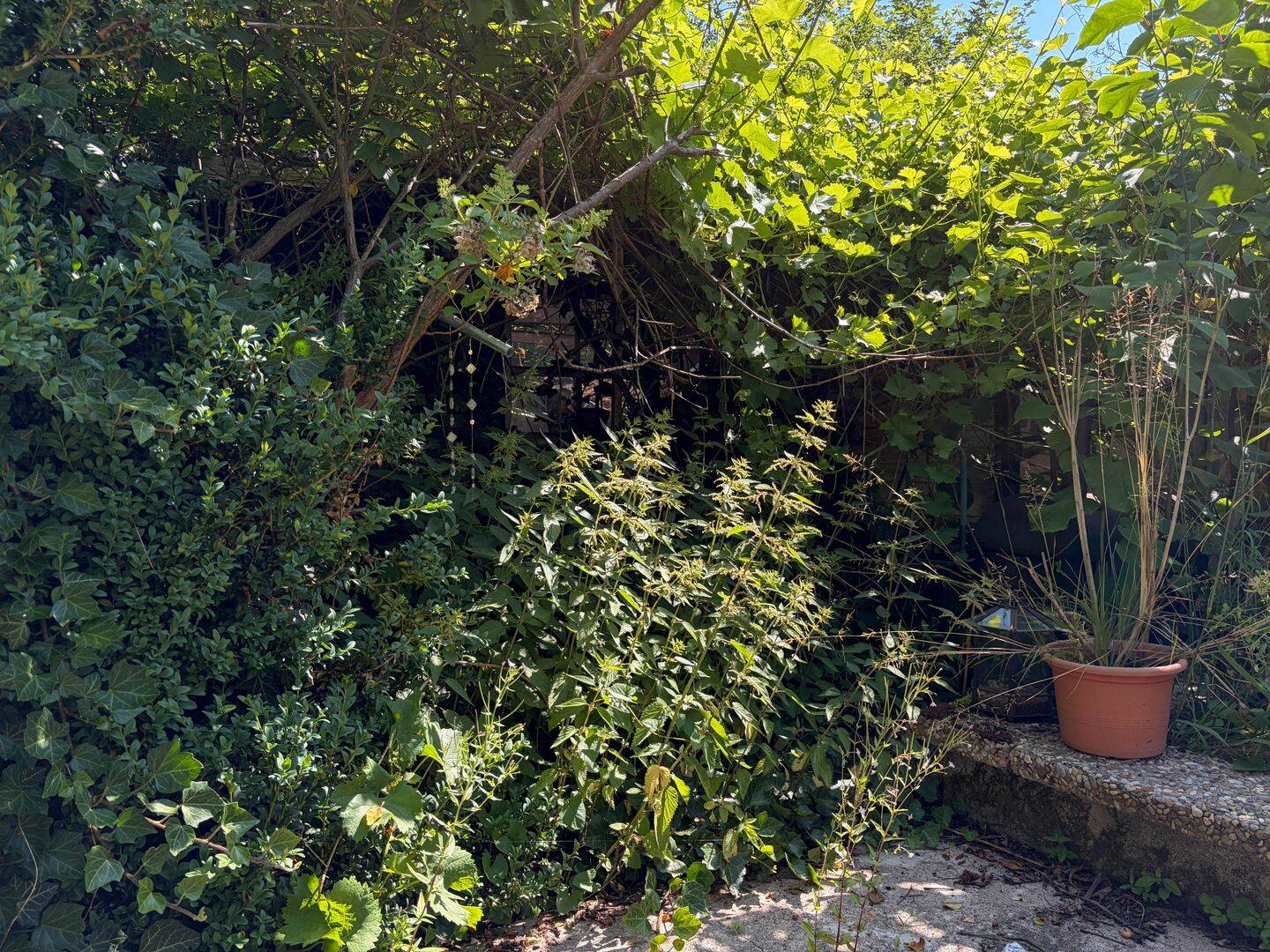 Bild 6