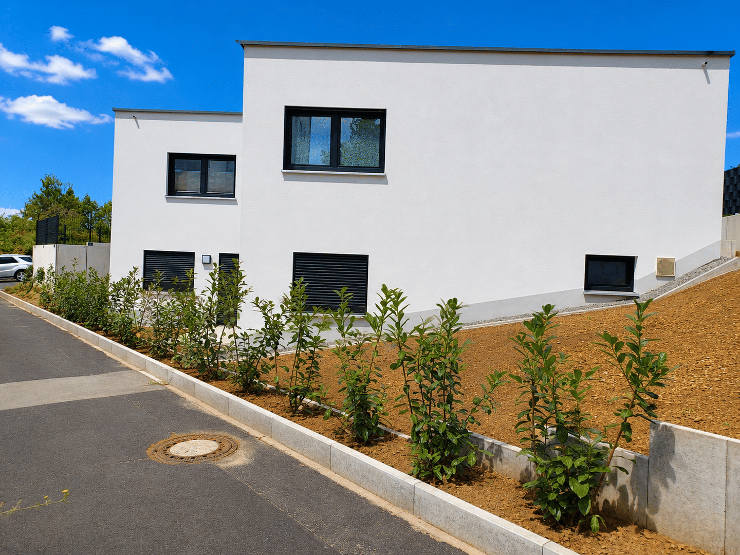 Bild 5
