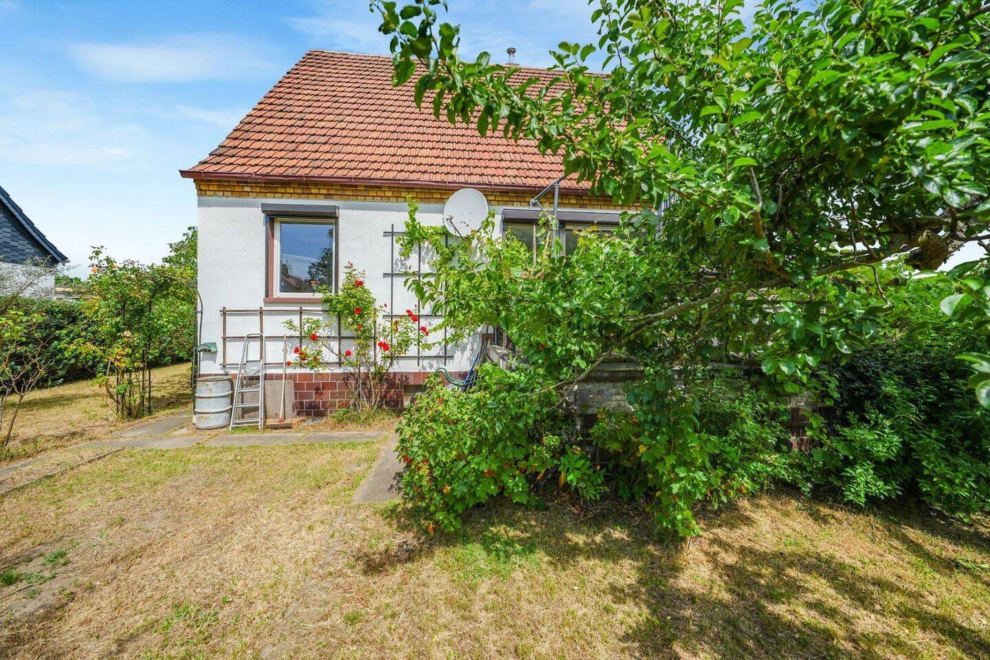 Bild 12