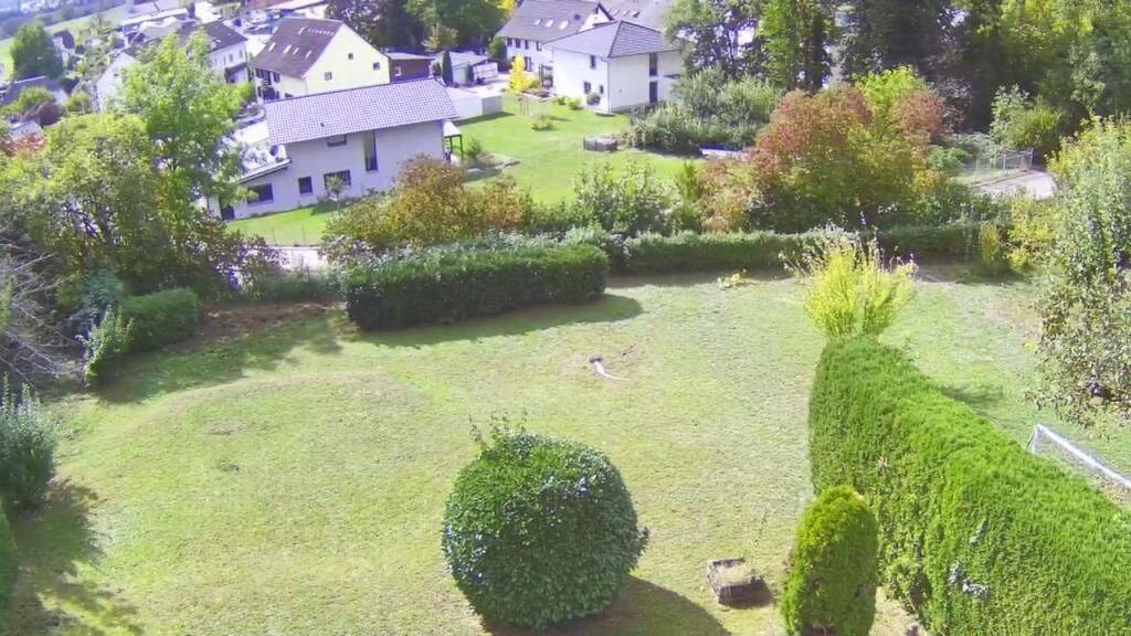 Bild 5