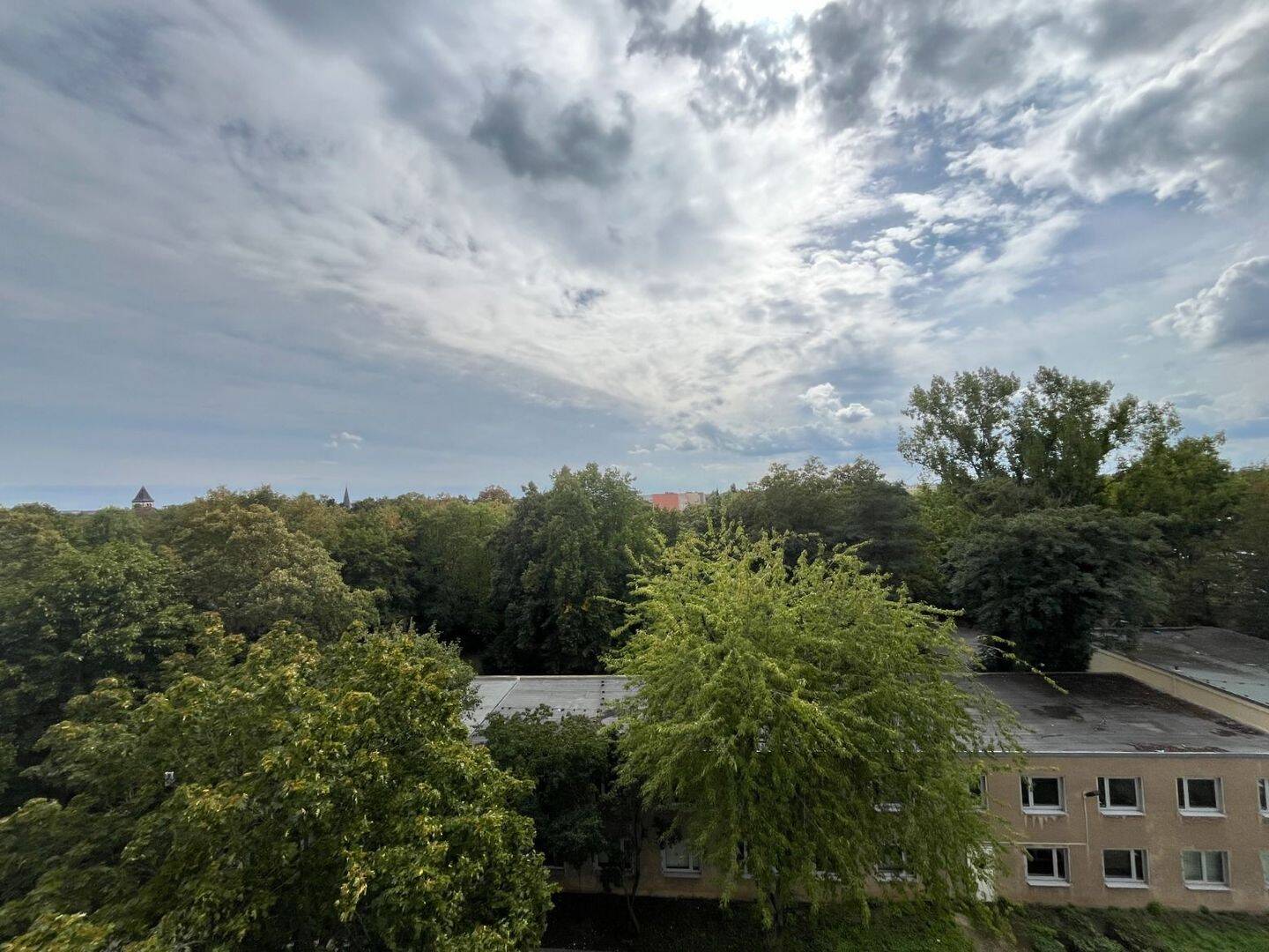Helles 1-Zimmer-Apartment mit Aufzug und Keller – ideal für Singles!, 6124 Halle (Saale) (Saaleaue Südliche Neustadt Westliche Neustadt)