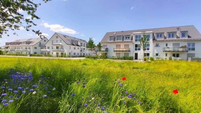 Schöne Wohnung im Erdgeschoss mit kl. Privatgarten: Whg 26: 2 Zimmer zzgl. Hobbyraum und Marken-EBK!, 81829 München (Berg am Laim Trudering-Riem)