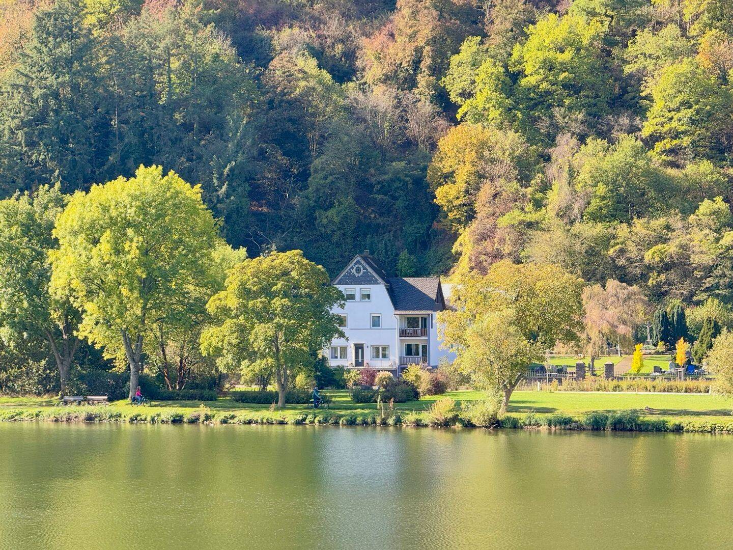 Traumblick | 4 Wohnbereiche | 1.000 m² Moselgarten | modern möbliert | provisionsfrei | bezugsfertig | vielseitig nutzbar, 56859 Alf