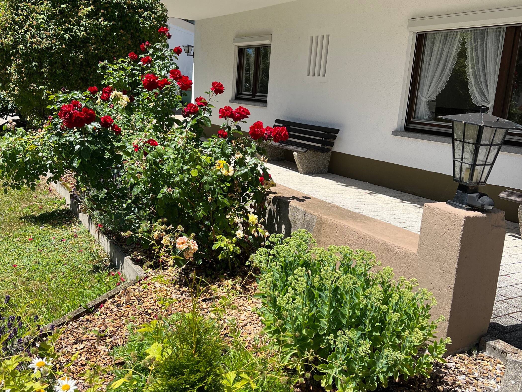 Traumhafte helle, große Wohnung mit großem Balkon mit 180 °C ums Haus zu vermieten, im traumhaften Kurort Höchenschwand, 79862 Höchenschwand