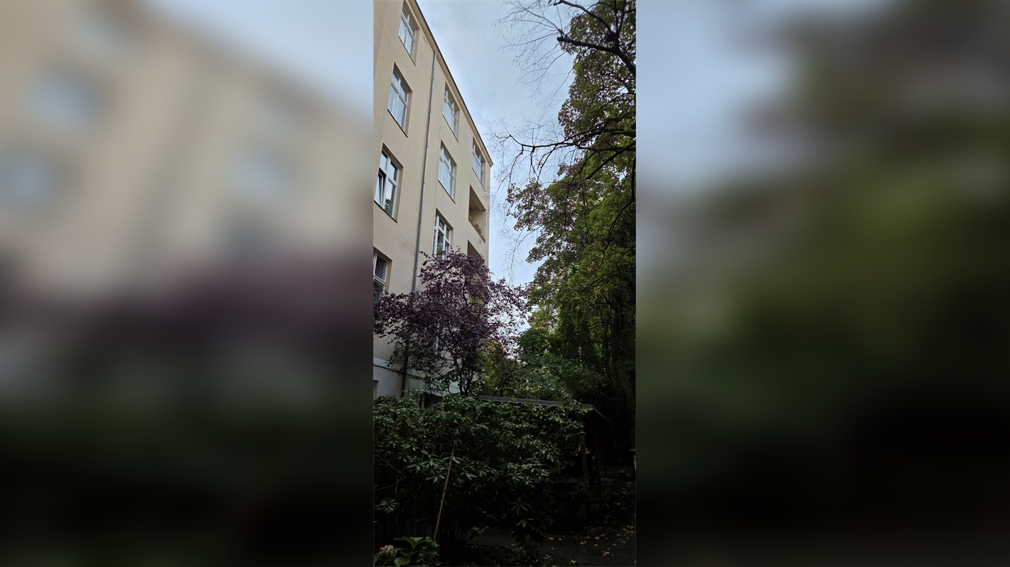 Bild 12