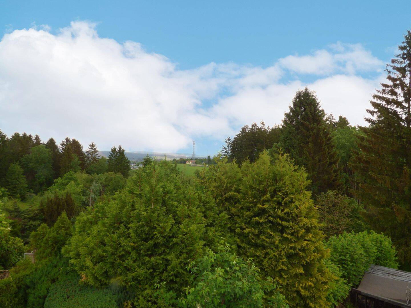 Bild 7