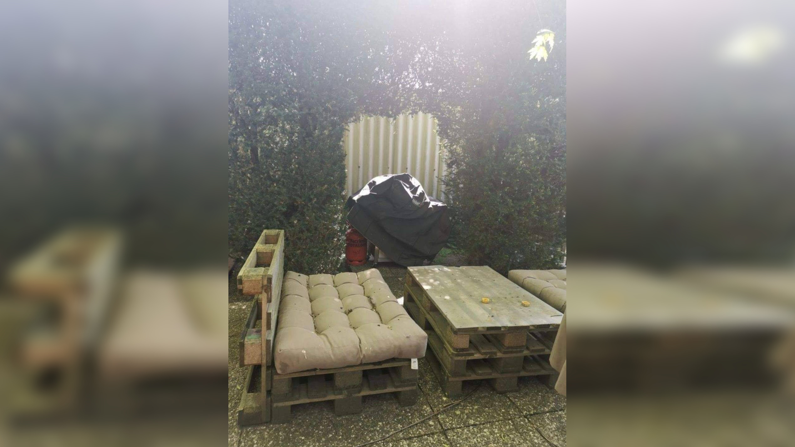 Bild 5
