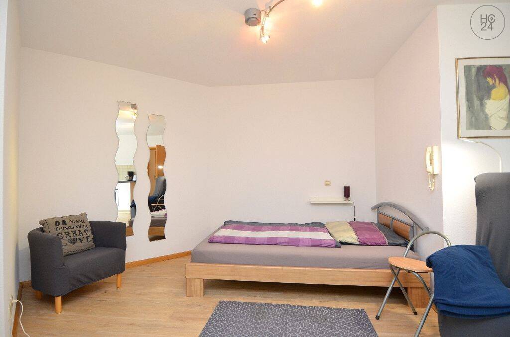 Schöne, helle 1-Zimmer-Wohnung in Eimeldingen, möbliert, 79591 Eimeldingen