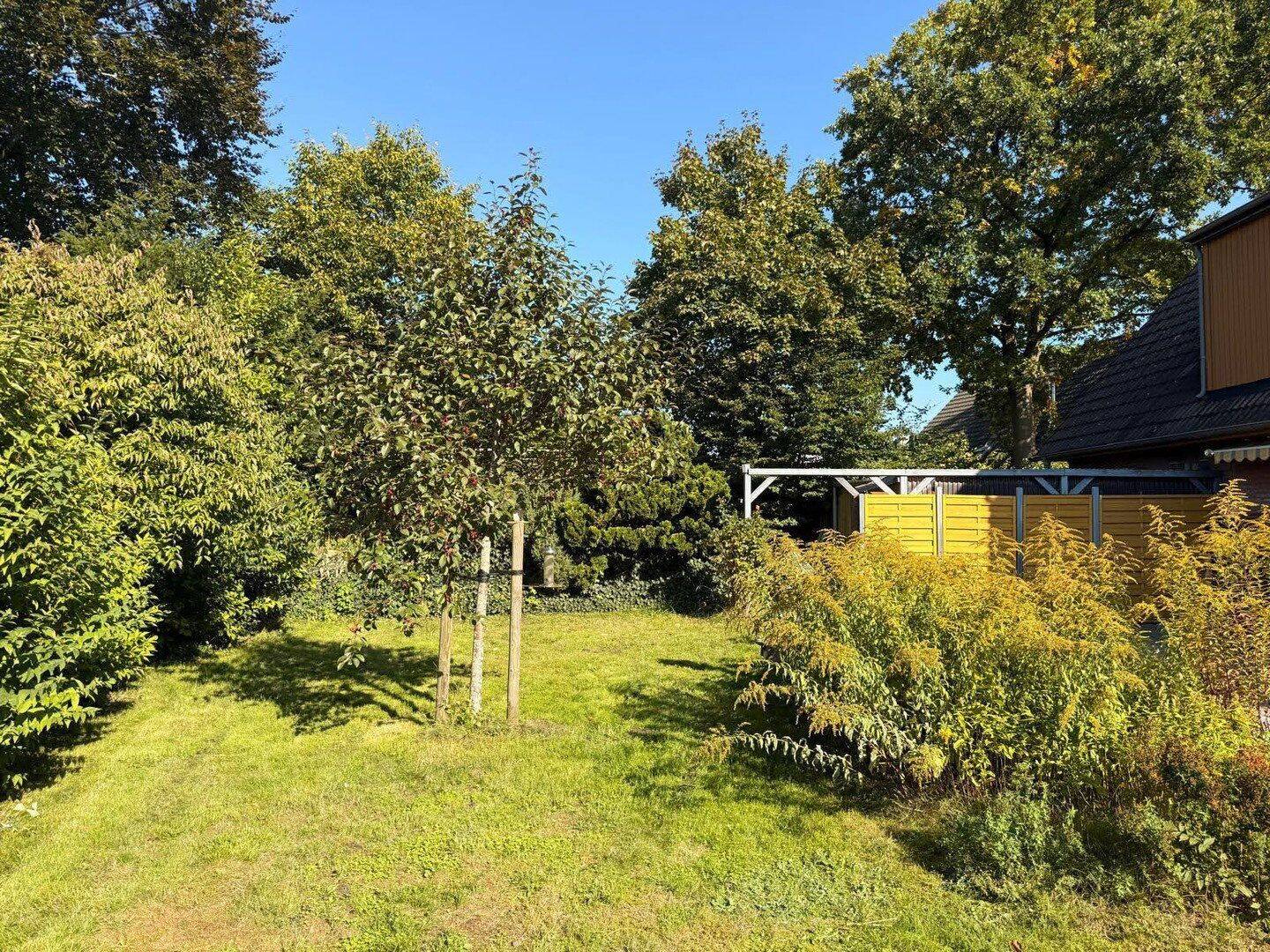 Bild 12