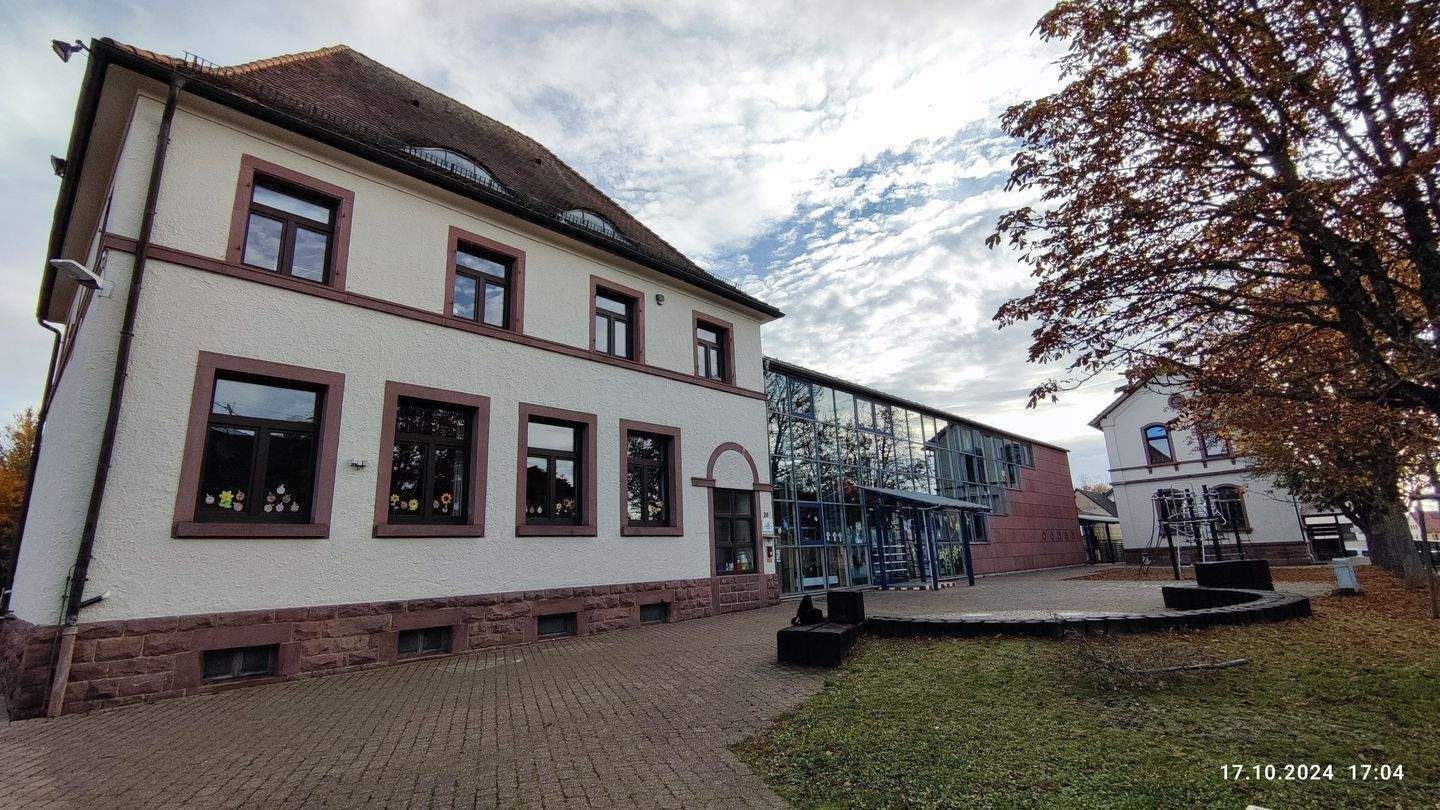 Bild 11