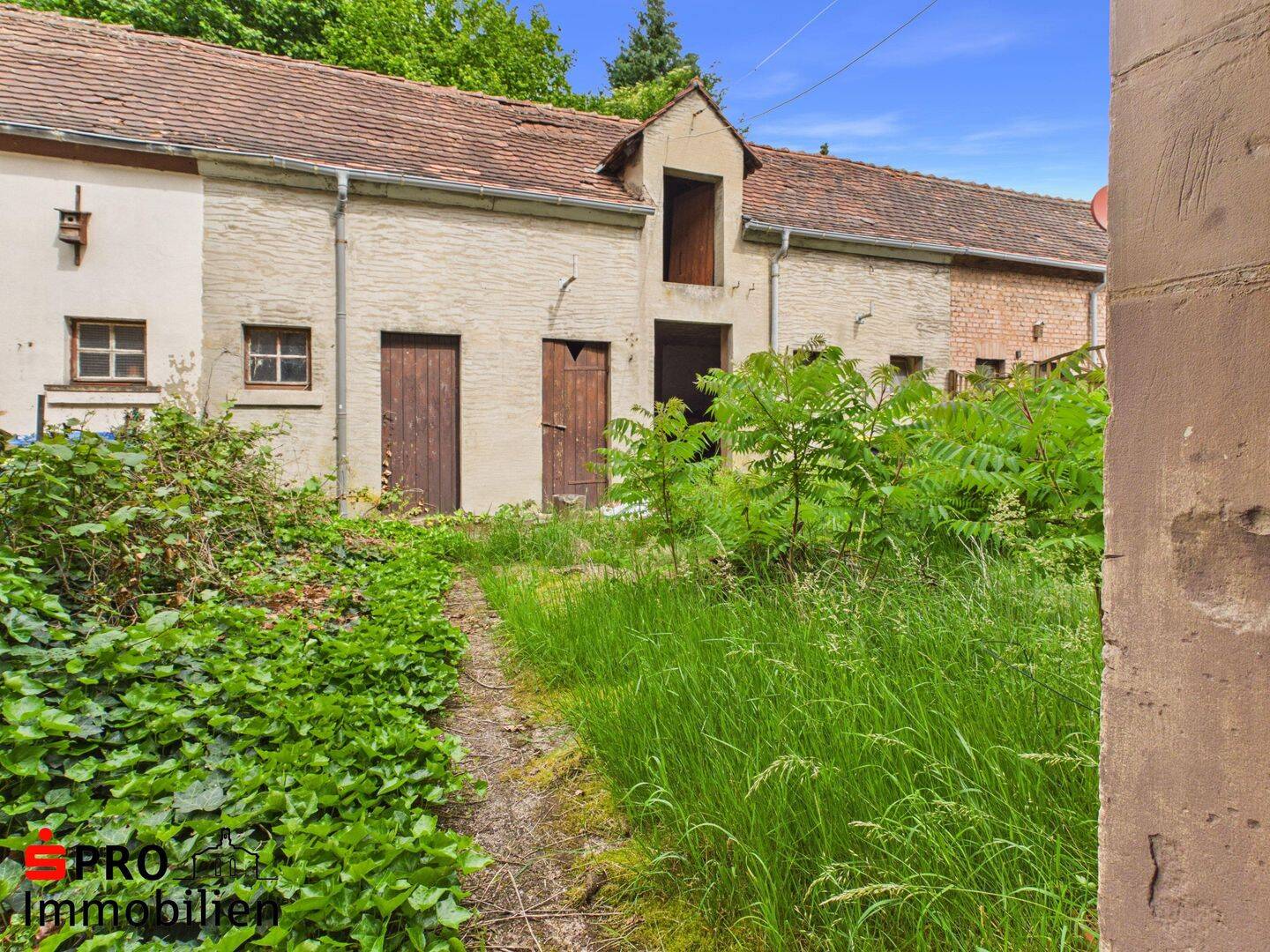 Bild 8