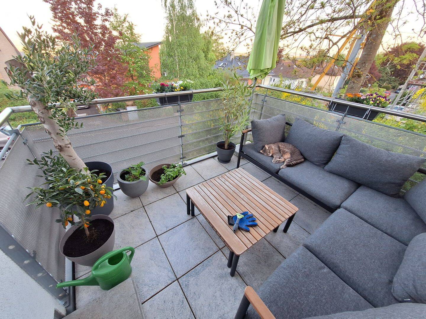 Bild 11