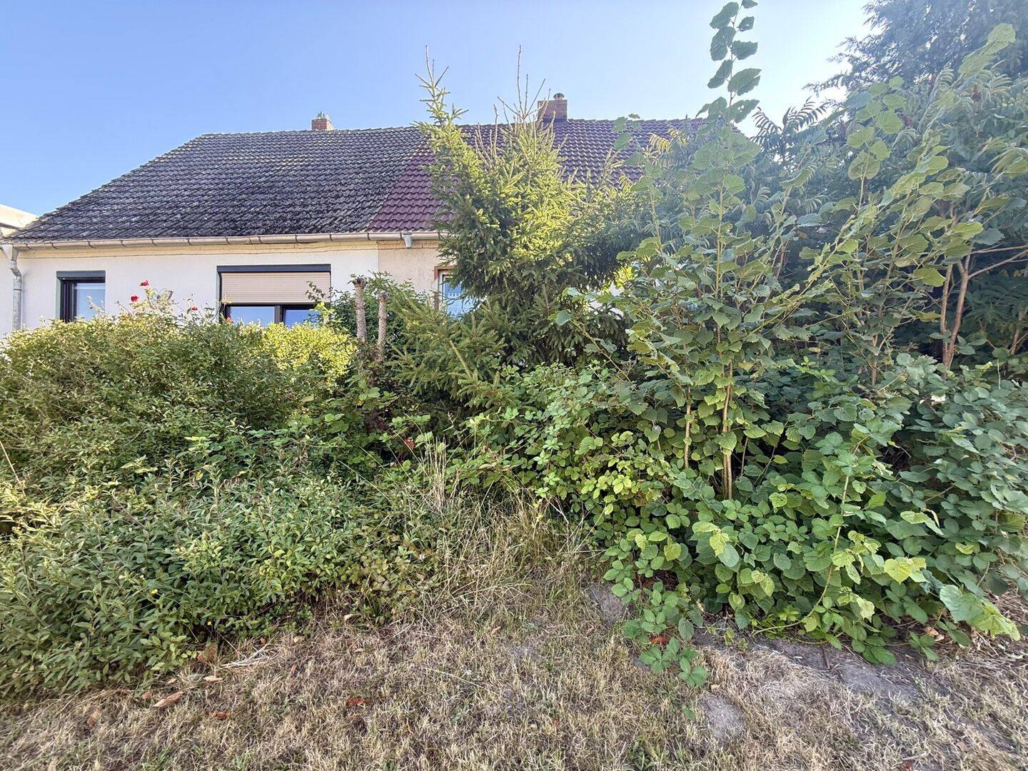 Bild 9