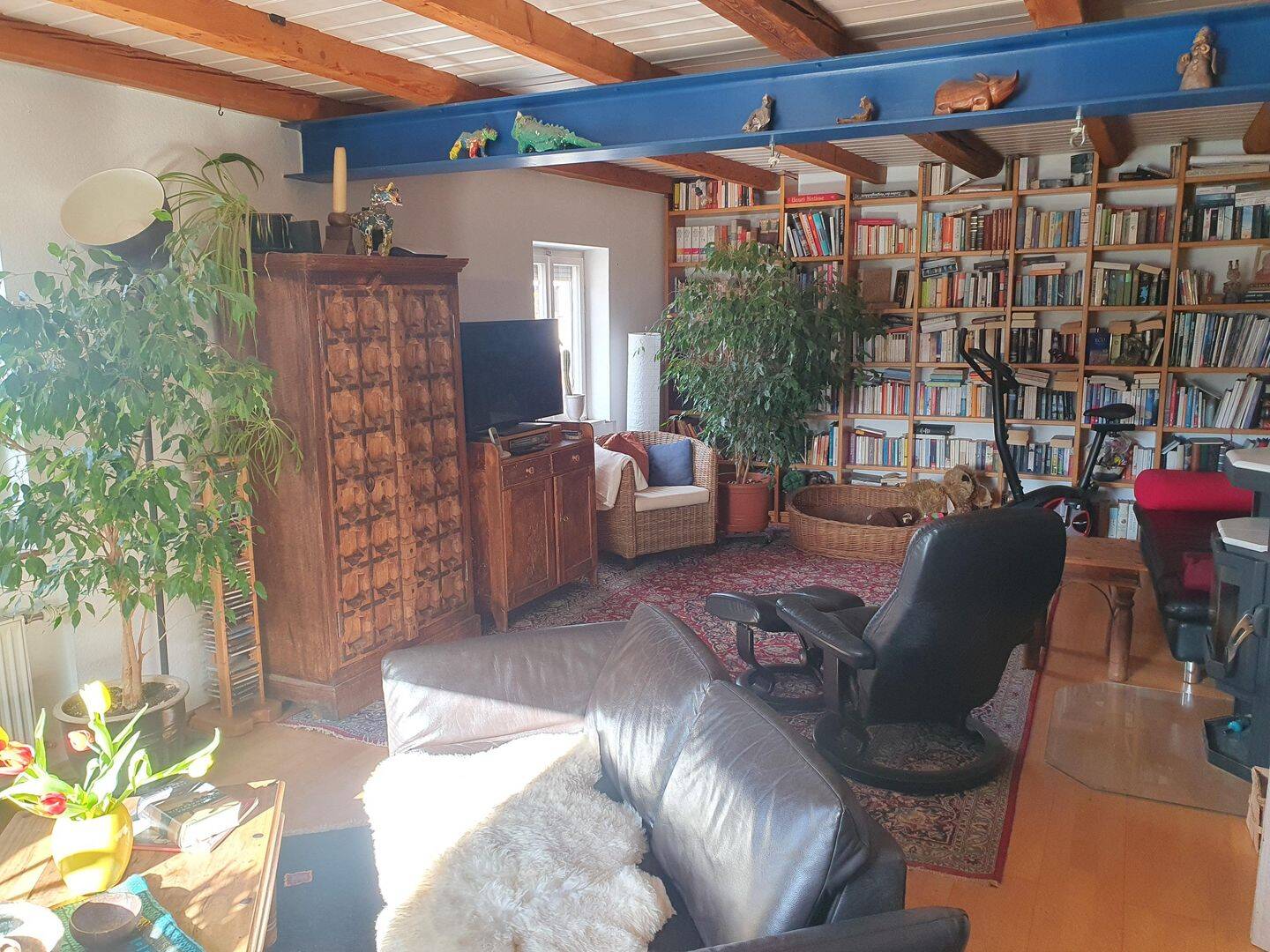 Bild 8