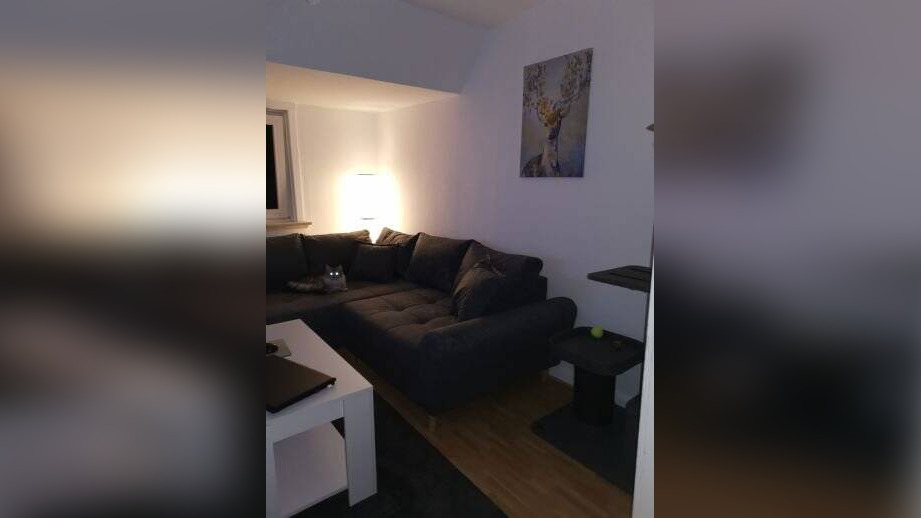 Bild 11