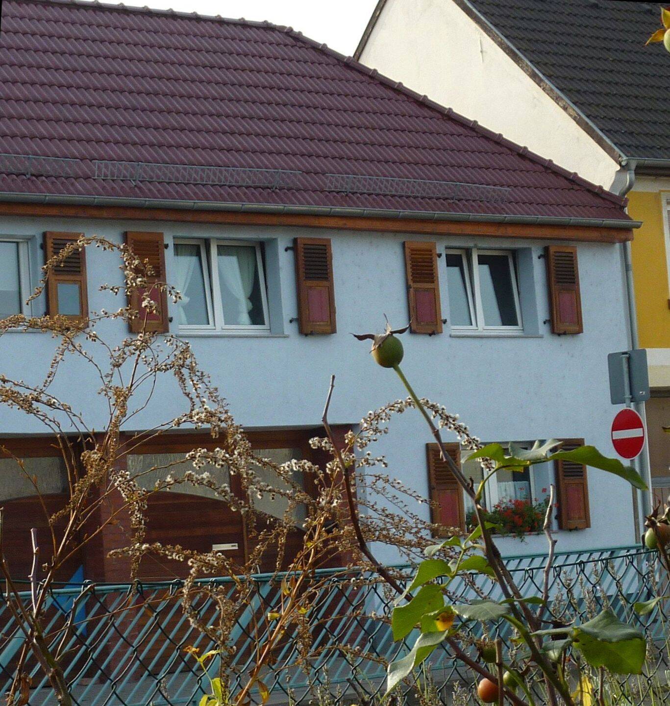 Energiespar WG 3 ZKB, hell und gesund neue EBK, sofort, 68649 Groß-Rohrheim