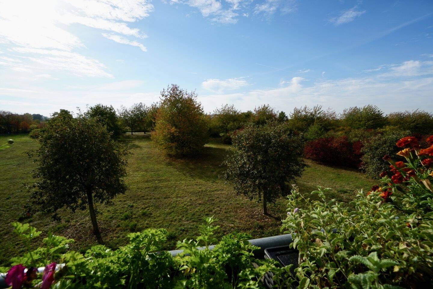 Wohnen mit Parkblick, 12355 Berlin (Neukölln Kolonie Platanenblick Rudow Siedl. An der Rudower Höhe)