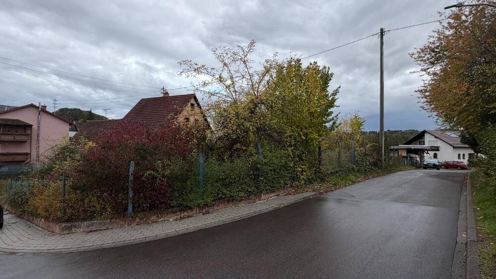 Bild 7