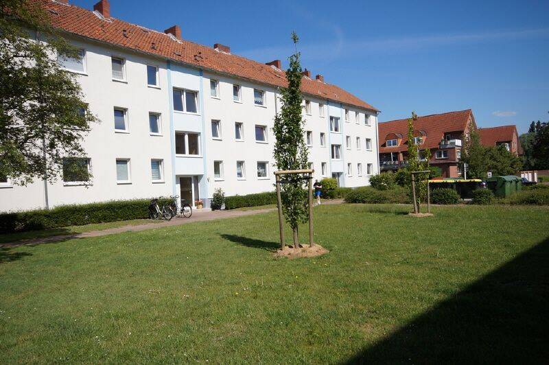 Bild 7