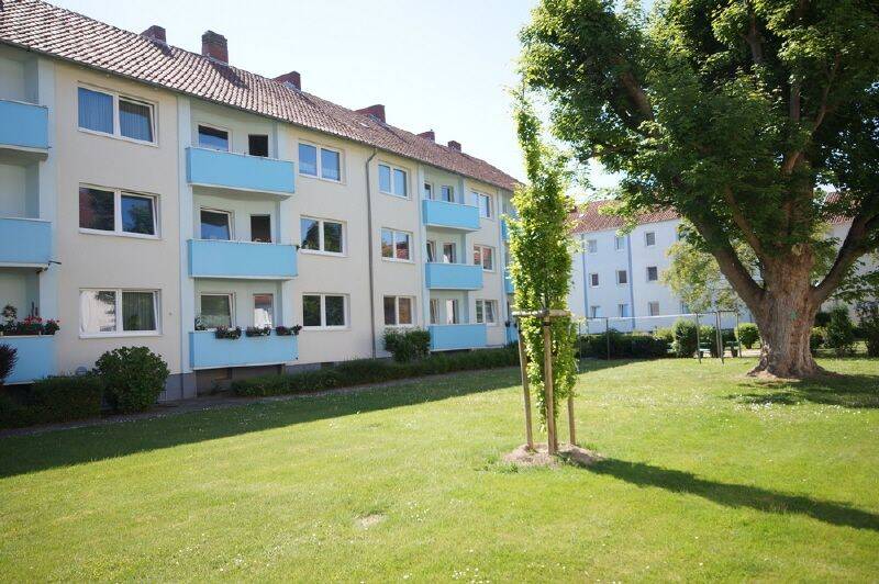 Bild 8