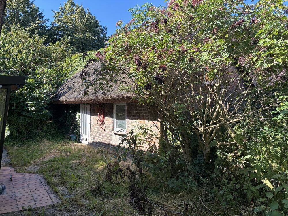 Bild 11