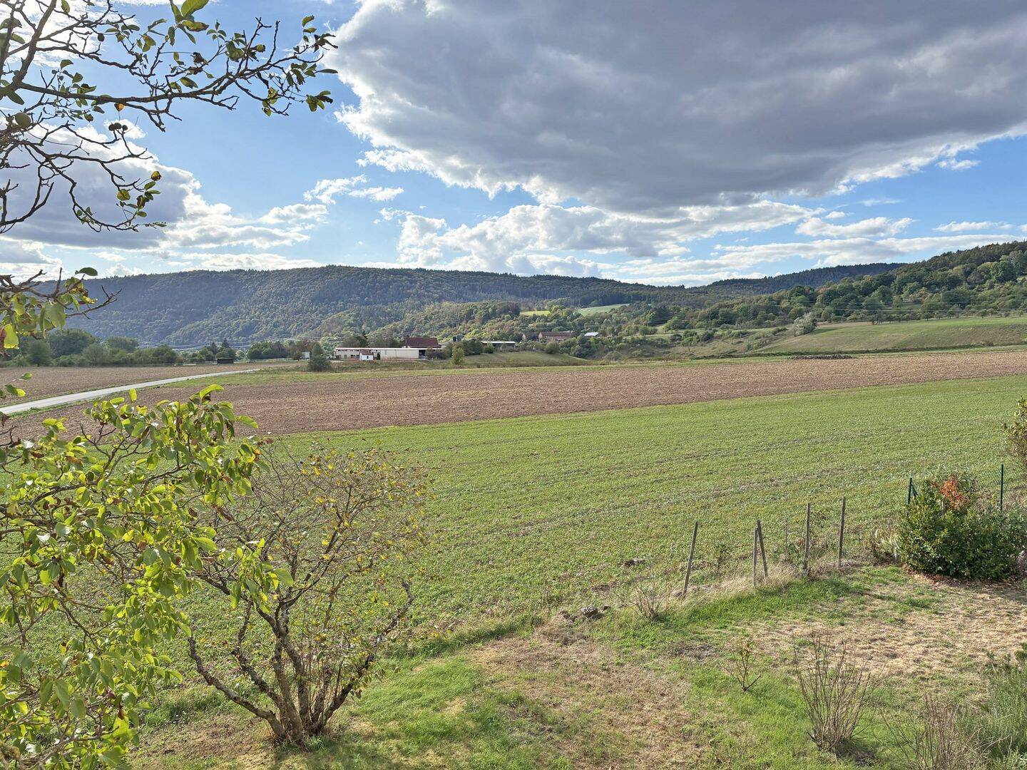 Bild 8