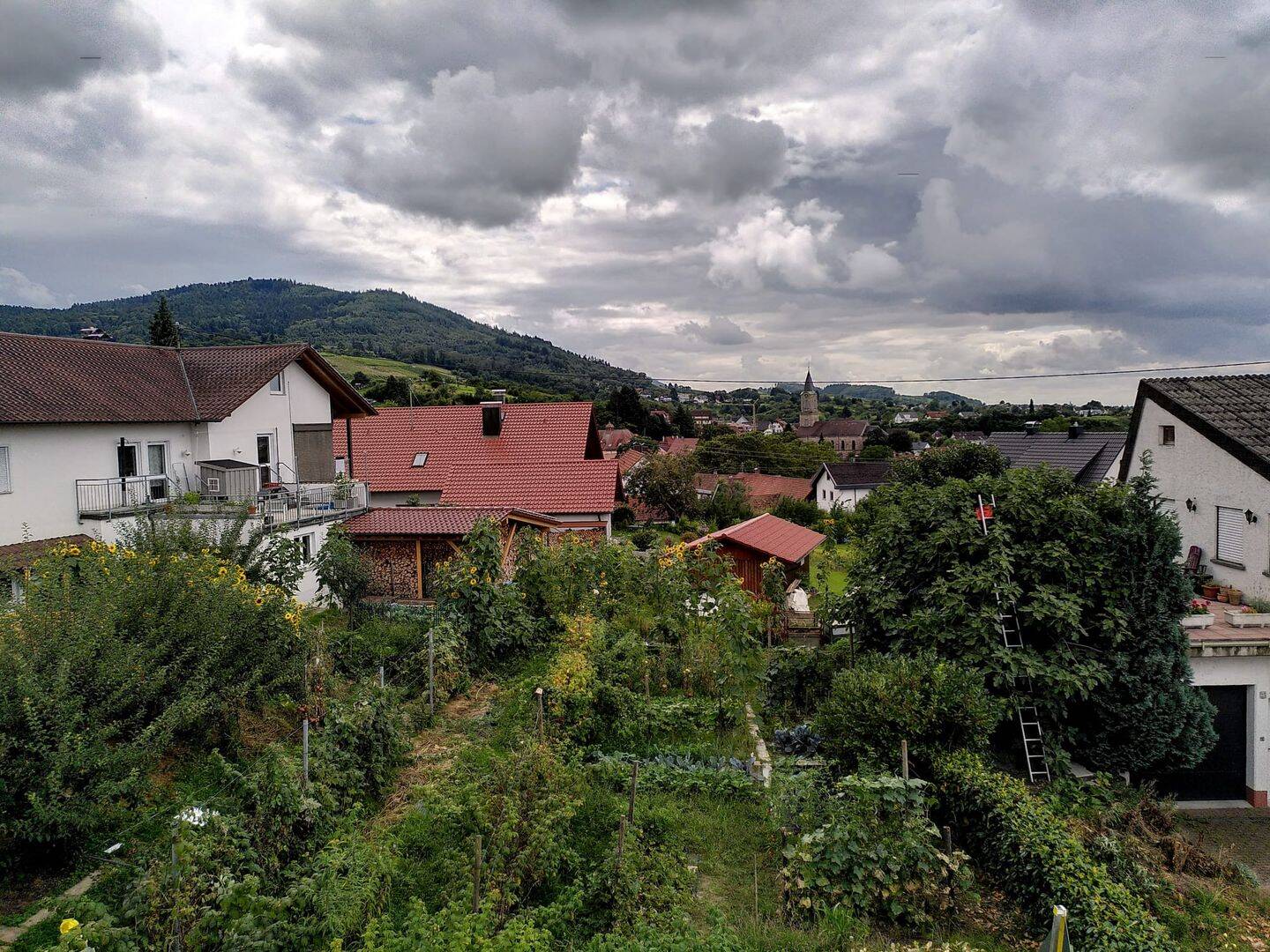 Bild 7