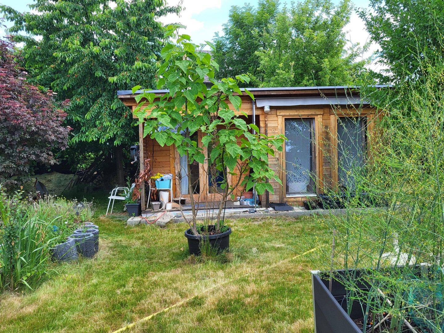 Bild 4