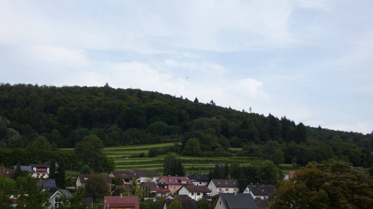 Bild 7
