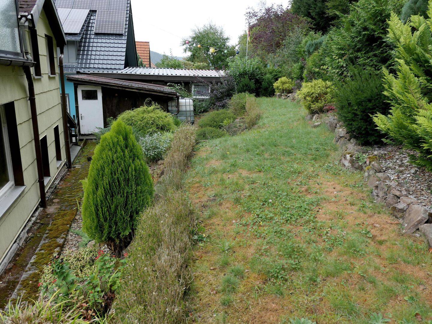 Bild 7
