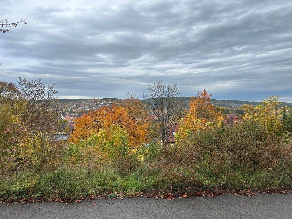 Attraktive Baulücke mit schönem Blick auf die Innenstadt von Münnerstadt, 97702 Münnerstadt