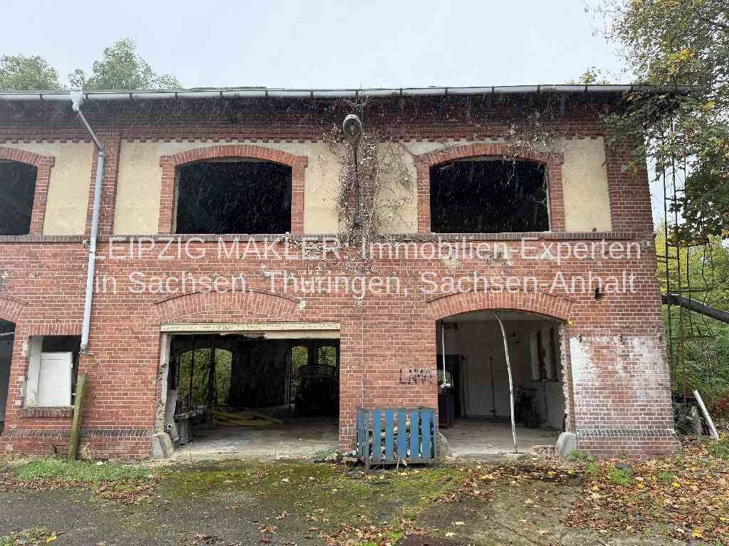 Ihr Traum vom Eigenheim: Einfamilienhaus mit Terrasse, Garage und Raum für Ihre eigenen Ideen, 6618 Naumburg (Saale)