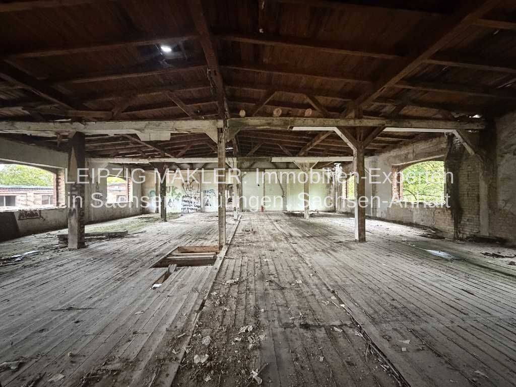 Einfamilienhaus im Rohbau mit ca. 140 m² Wohnfläche, Garagenstellplatz und direkt angrenzendem Wald, 6618 Naumburg (Saale)