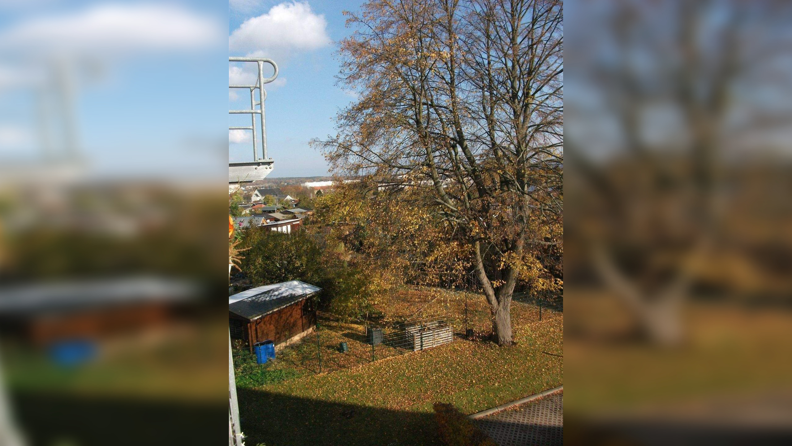 Bild 11