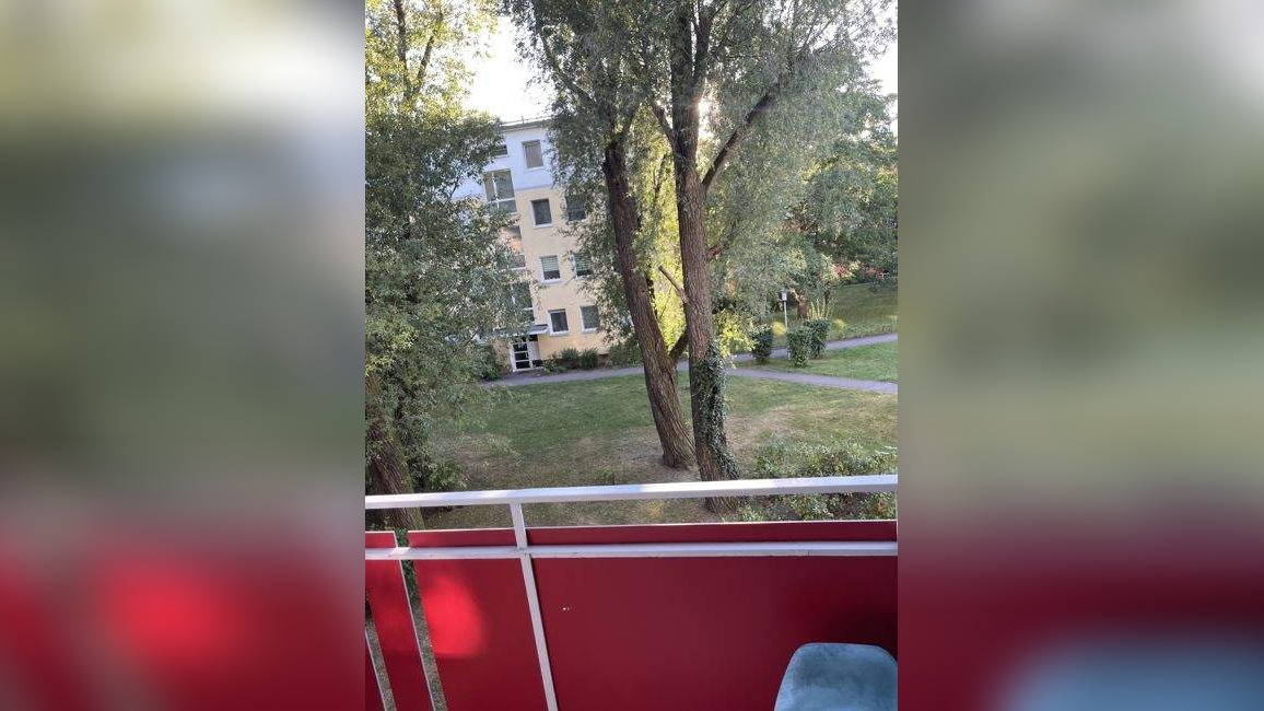 Bild 6