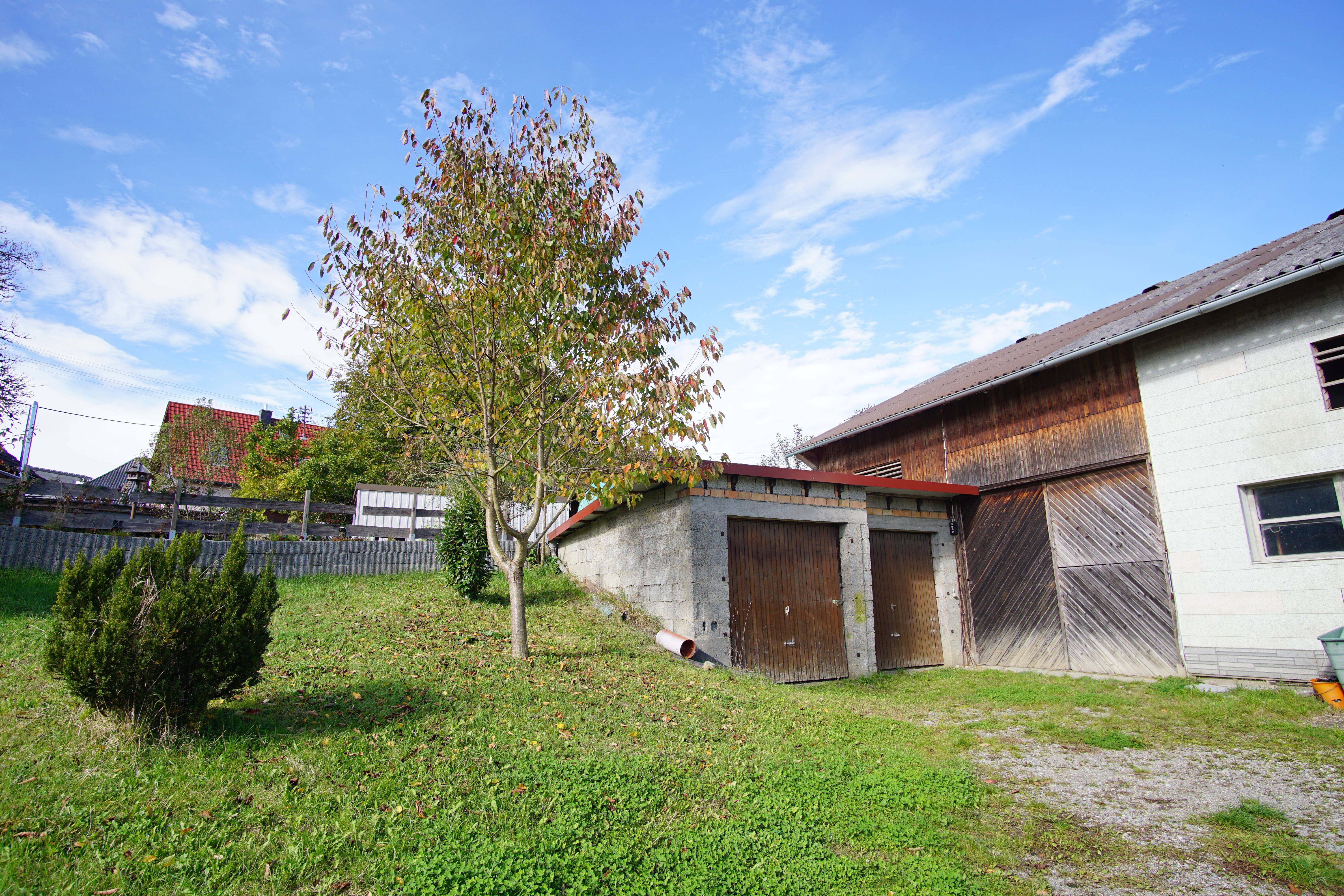 Bild 7