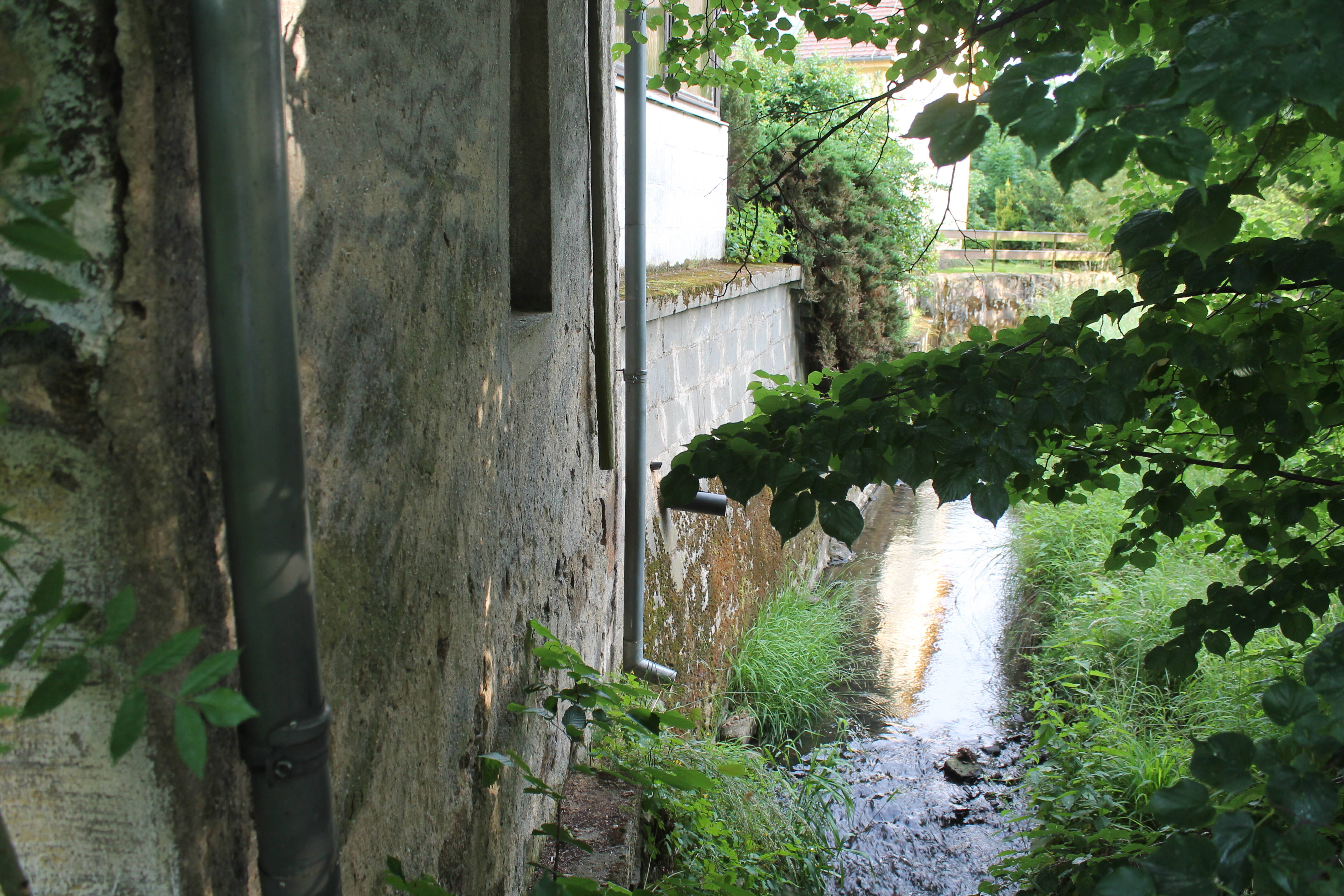 image-57378153