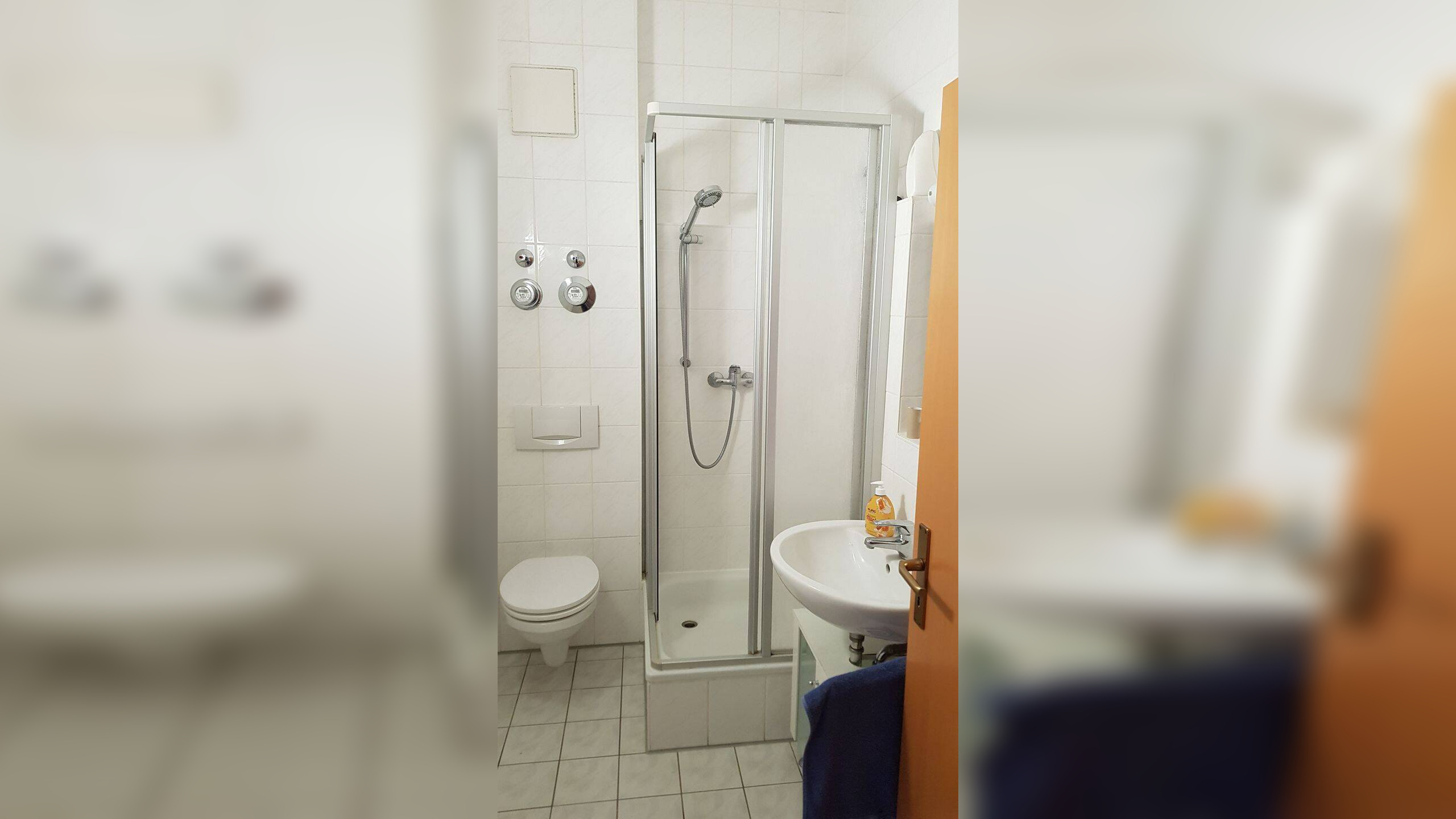 Ruhig gelegene 2-Raumwohnung – neue Heizungsanlage inklusive – Leipzig – Vorschaubild 4