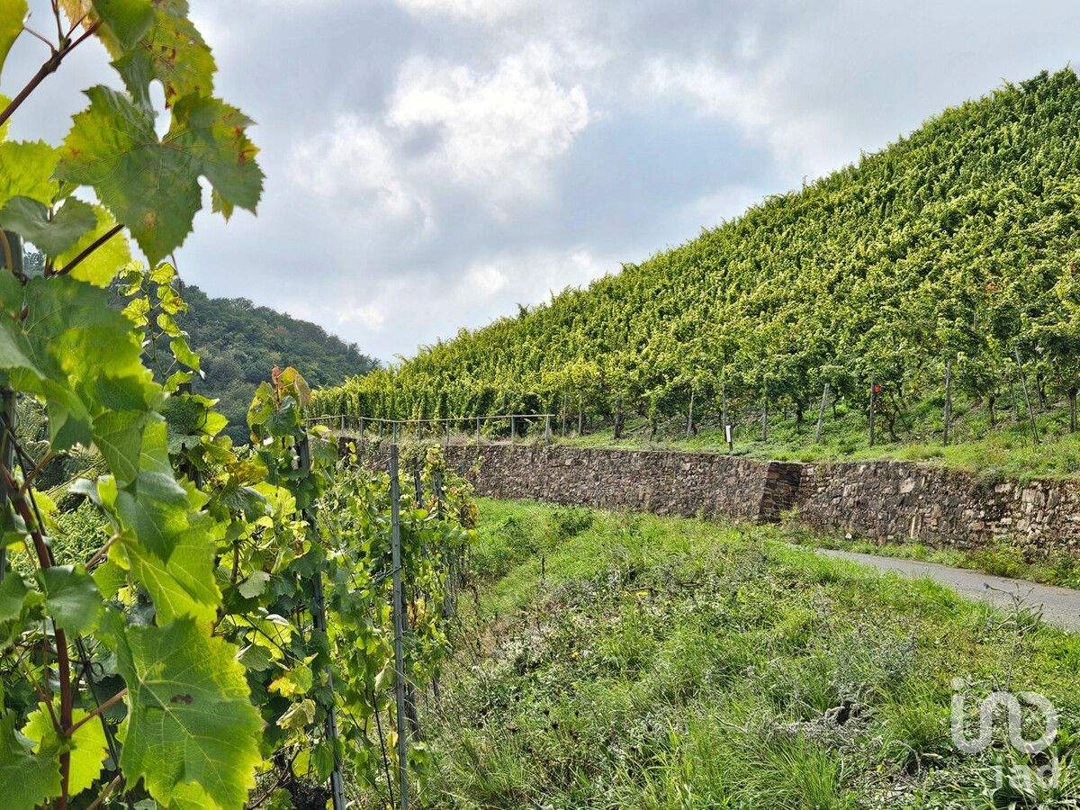 Sonniges Baugrundstück am Weinberg in Oberwesel – mit Blick auf die Schönburg, 55430 Oberwesel
