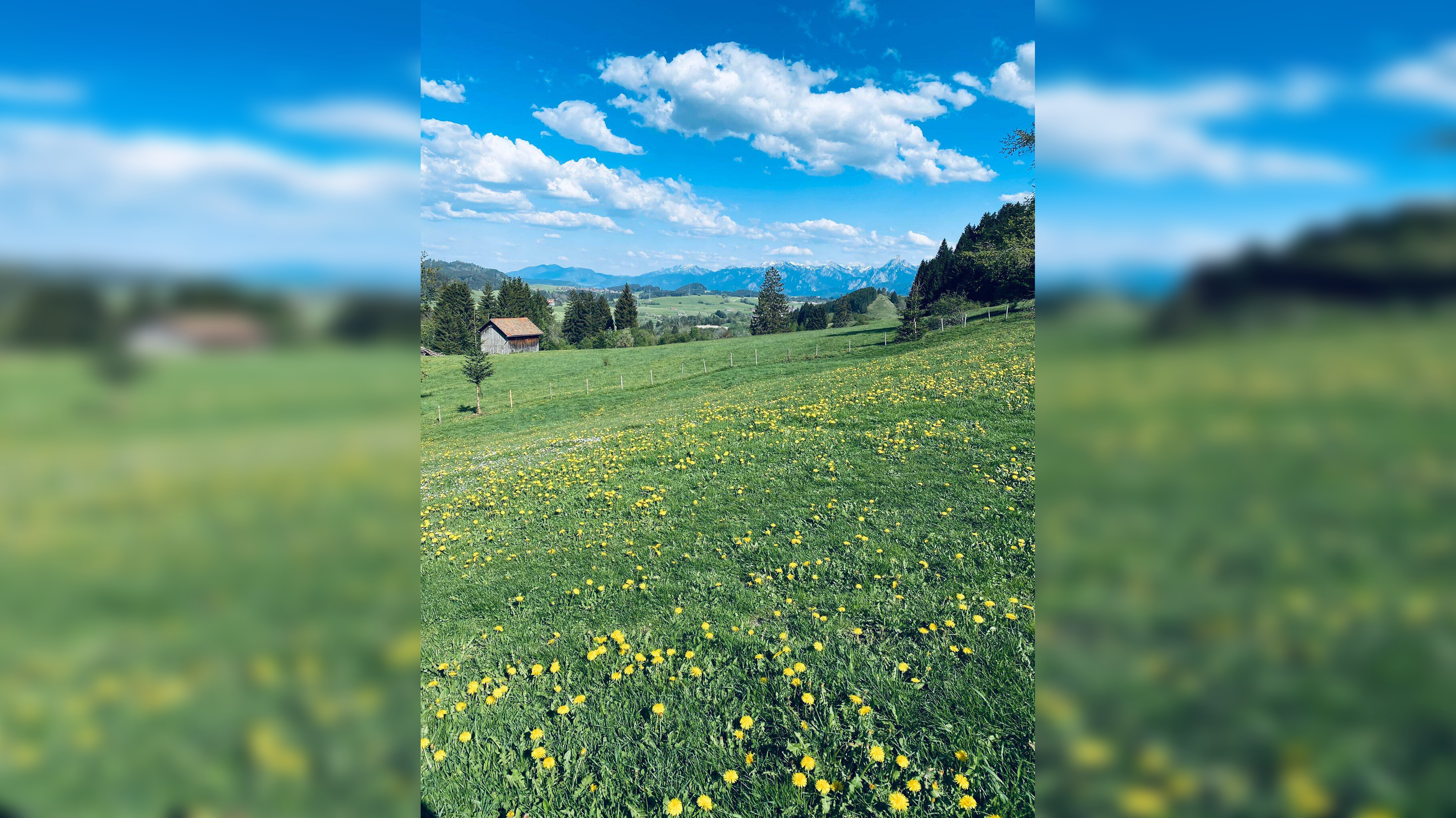 Wunderschöne sonnige Baugrundstücke in Erbbaurecht zu vergeben., 53520 Reifferscheid