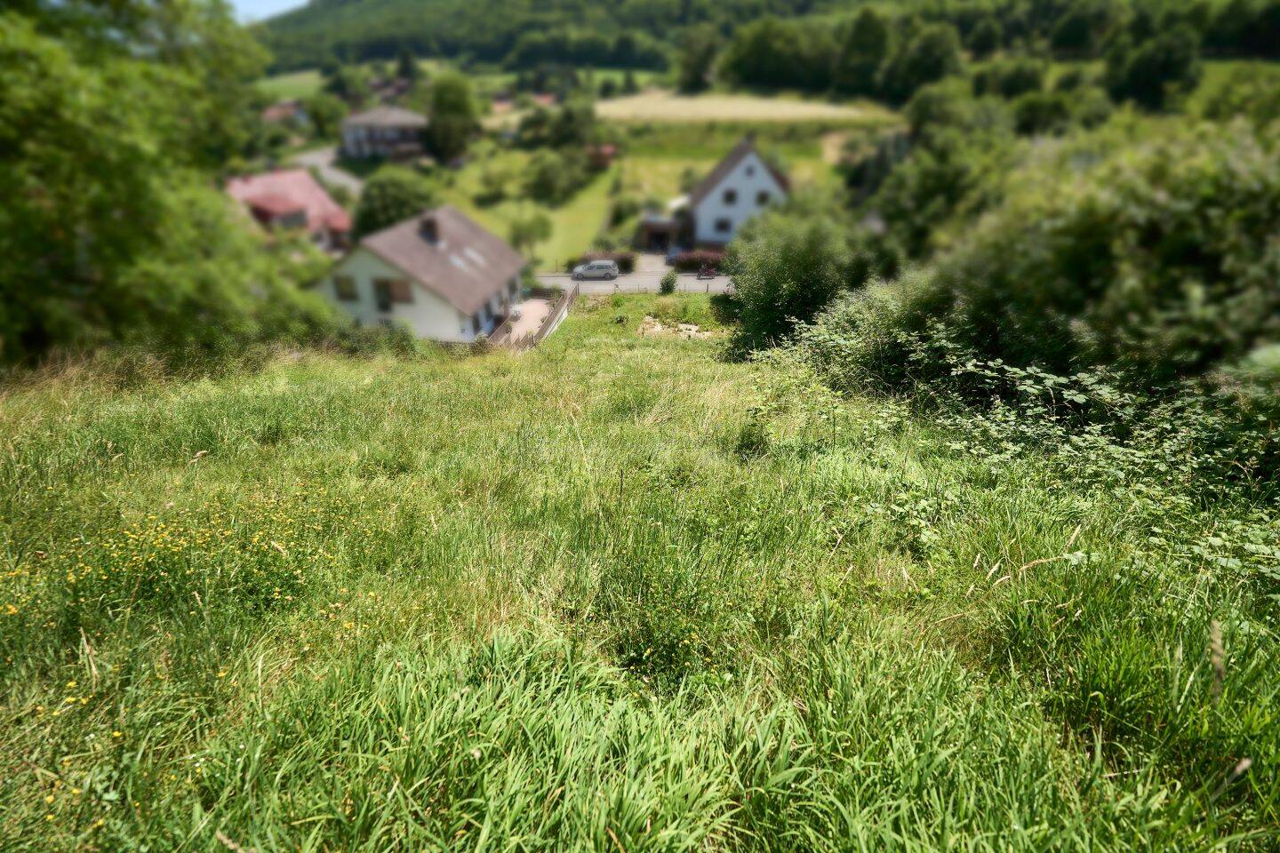 Baugrundstück in idyllischer Lage im Werra-Meißner-Kreis, 37299 Weißenborn