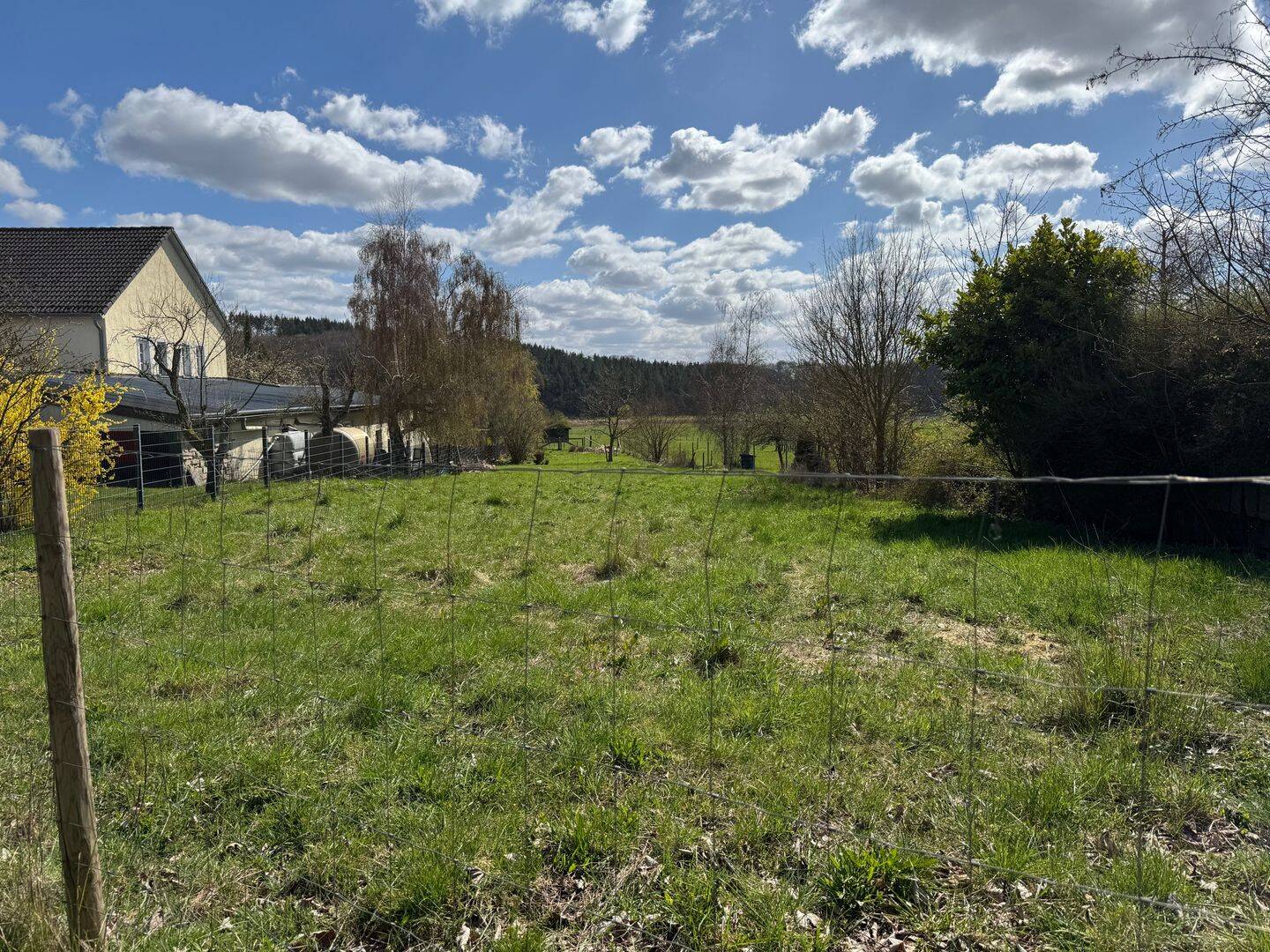 Wittlich-Neuerburg: Baugrundstück zu verkaufen in Ortslage, 54516 Wittlich