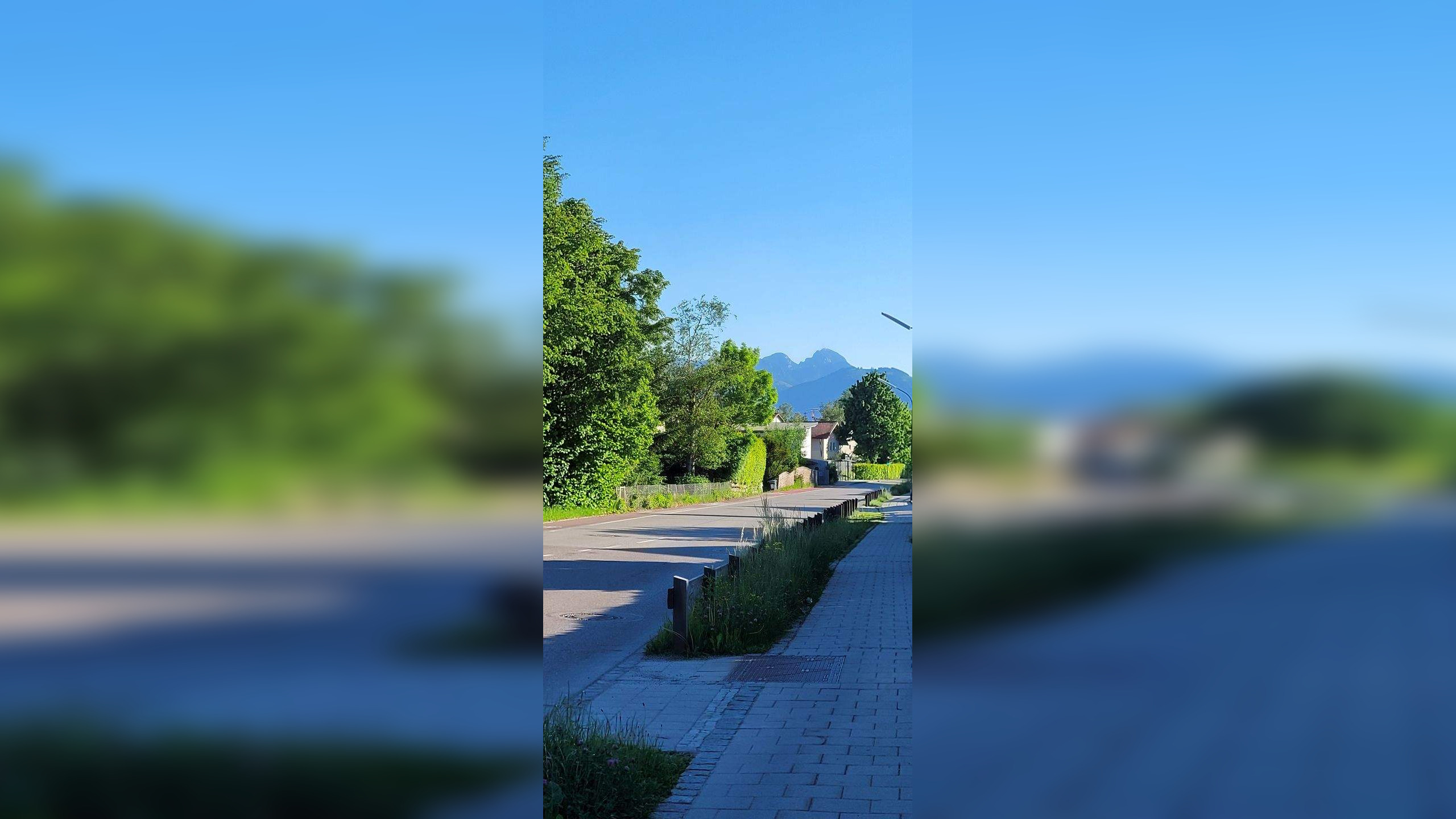 image-72274644
