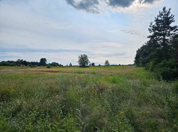Mit Grundstück: Das moderne Doppelhaus mit Charme und Charakter in Wettmar, 30938 Burgwedel