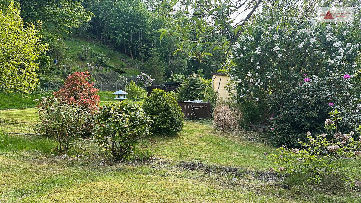 image-72279229